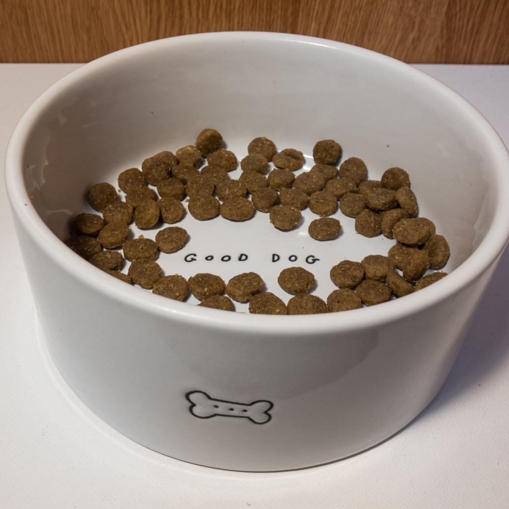 Harmony Good Dog Ceramic Food or Water Bowl